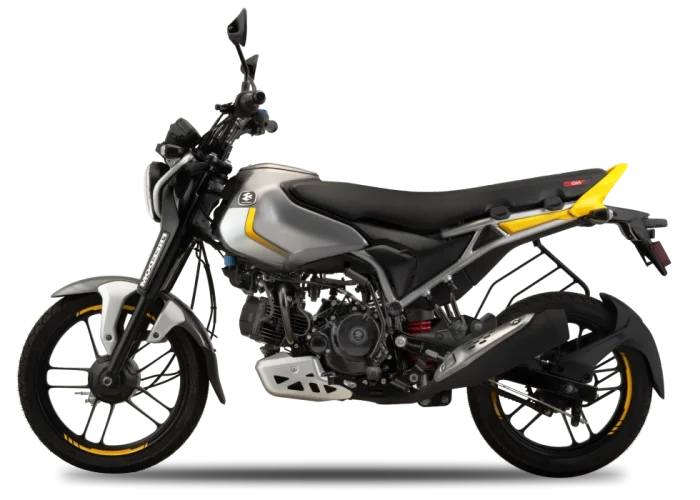 Bajaj Freedom 125 NG04 Drum